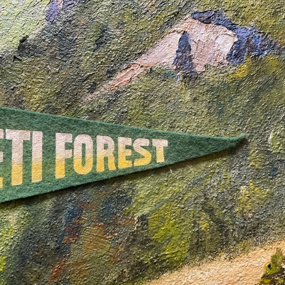 Image of Puketi Forest Pennant