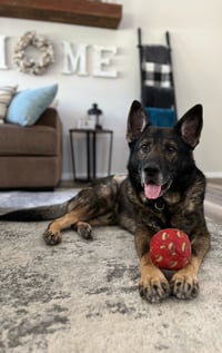 Image 4 of Bak Badge