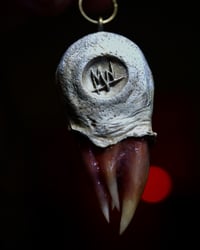 Image 7 of Crimson Oracle Snaggletooth Pendant OOAK