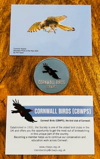 Image 2 of Cornwall Birds (CBWPS) Pin Badge 