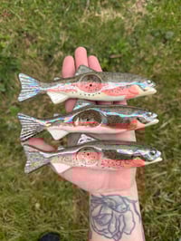 PRE ORDER Rainbow Trout - Mother of Pearl