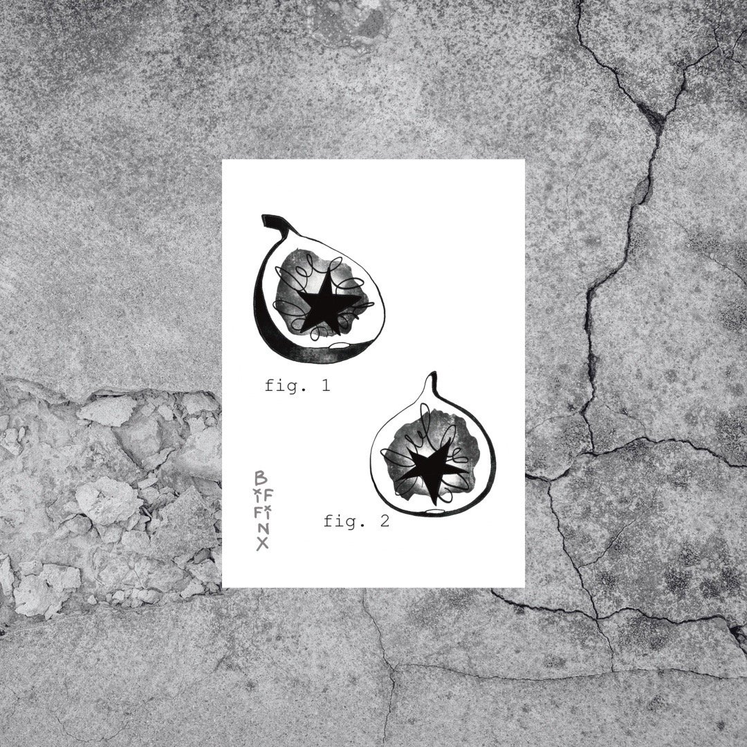 Image of Figs Print