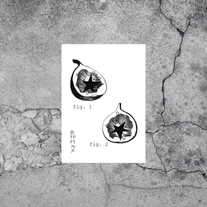 Image of Figs Print