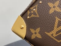 Image 7 of LV Trunkie Crossbody