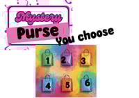Mystery Purse