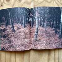 Image 6 of Leif Sandberg - Ending (Signed & Numbered)