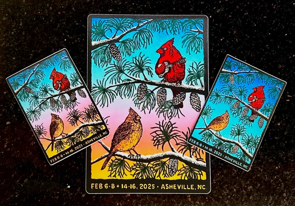 Image of Asheville ‘25 stickers