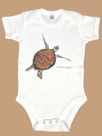 Image 1 of Body TARTARUGA MARINA