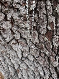 Image 4 of Fairy Circle