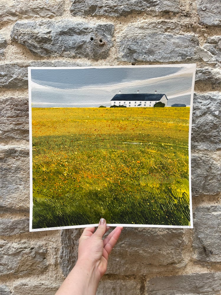 *ORIGINAL* ‘Yellow Fields at St Aldhelm’s Head’