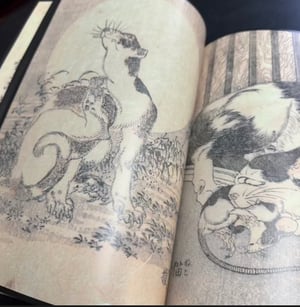 Image of HOKUSAI/HANZAN MANGA