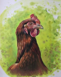 Portrait of a Hen 