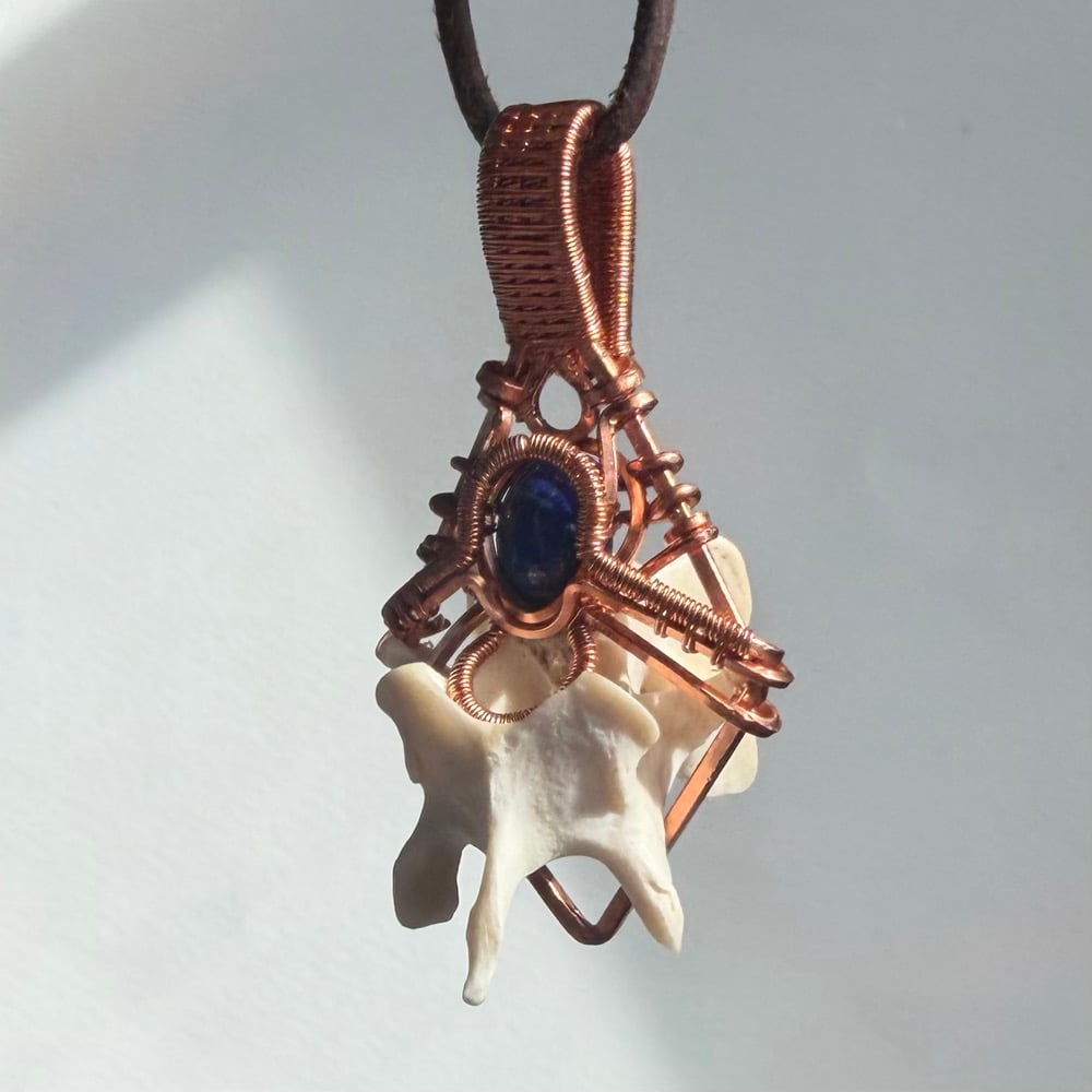 Image of Lapis Lazuli & Vertebrate Pendant