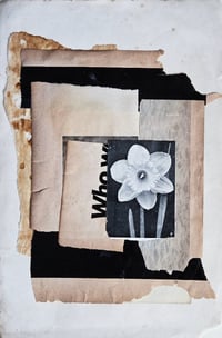 Image 1 of BULB GROWING - COLLAGE (UNIQUE)