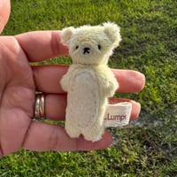 Micro Bear