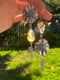 Image of California Poppy Montana Agate Open-Back Long Asymmetrical Dangle Earrings