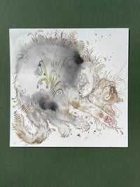 Image 1 of Dreamer - Kitty Cat Study 