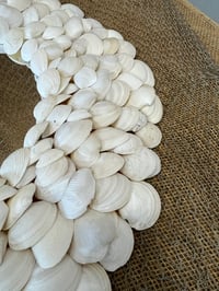 Image 7 of Seashell Mirror Shite 24”