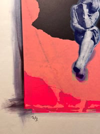 Image 8 of Joyce’s Choice 1,2 & 3