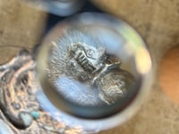 Image 11 of Superbe boule de 15 cm de diam. et socle en argent bas titre, poinçonné, du XIXème siecle