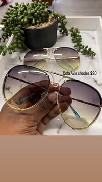 Cola Avi shades 