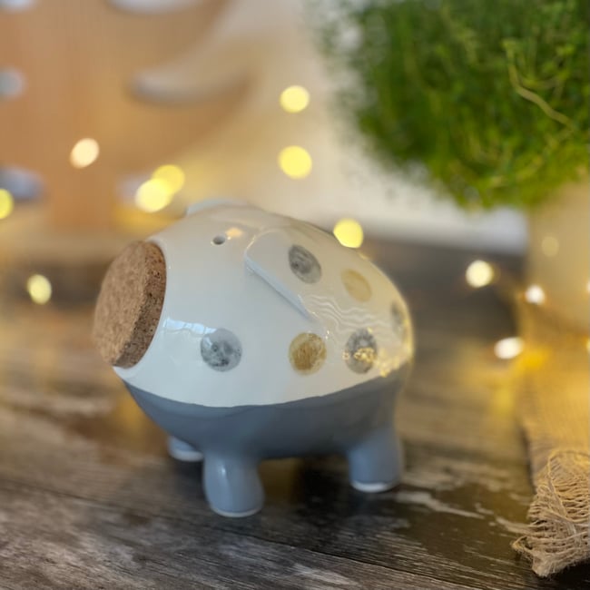 Spotty Piggy Bank