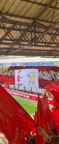 Image 2 of Tifo Donation