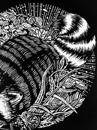 Image 3 of Raccoon & Gooseberries