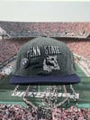 PennState Litany Lions (wool)