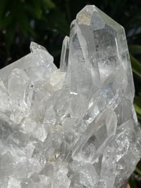Image 7 of Clear Quartz Points Cluster Statement Piece #2446