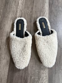 Teddy slid shoes 