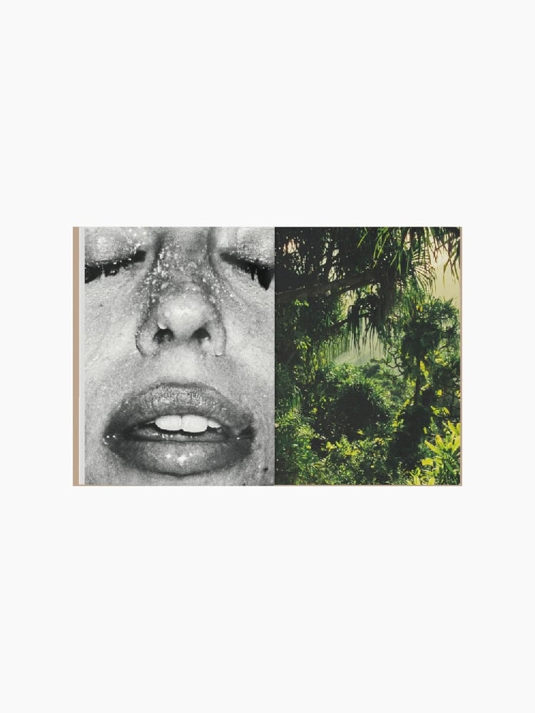 Image of Mirage - Kate Bellm - La Selva