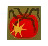 Image 1 of Wild Tomato 