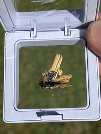 Image 11 of Golden Rutile & Hematite Star Specimen|Brazil #2932