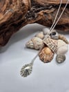 Scottish limpet shell pendant necklace