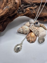 Image 2 of Scottish limpet shell pendant necklace