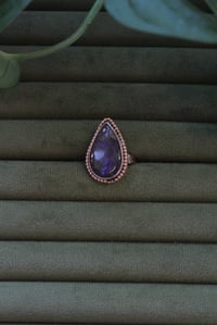 Image 3 of Purple Lab Magic