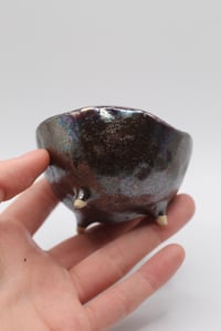 Image 4 of Freak & weirdo