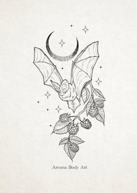 Image 3 of Chauve souris