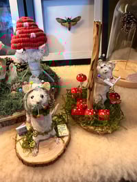 Image 1 of Taxidermy Mouse Workshop Thurs 11th June 5.30 to 9.30pm