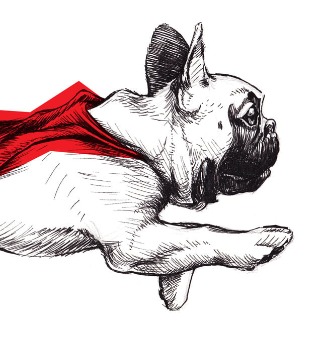 Image of Super French Bulldog Print - 19x13 (paper size)