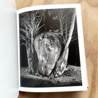 Image 8 of Paul Guilmoth - At Night Gardens Grow