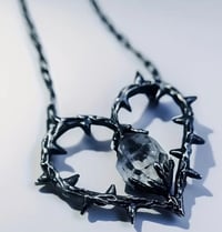 Every Heart Has Its Thorns 