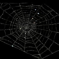 Image 4 of The Orb Weaver Skirt