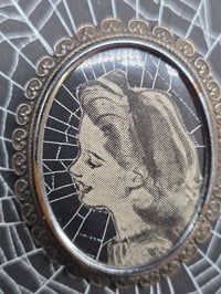 Image 3 of Vintage Brooches-  1940s engravings page & preserved spider webs - 4