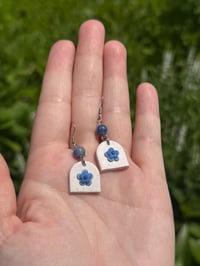 Image 2 of delphiniums