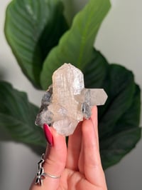 Image 1 of BOWTIE STILBITE X DIAMOND APOPHYLITE -INDIA- G