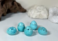 Image 1 of Songbird Eggs