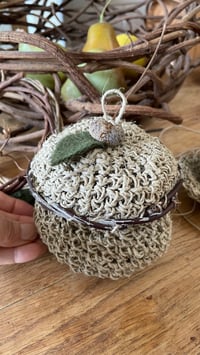 Image 2 of Treasure Pods 