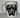 dog breed mugs 